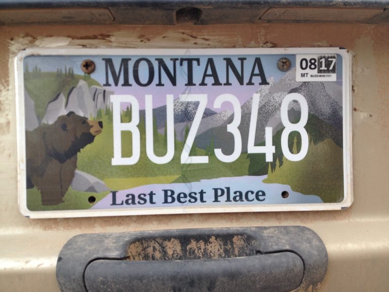 Montana License Plate That Benefits MEIC