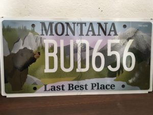 MEIC Montana License Plate