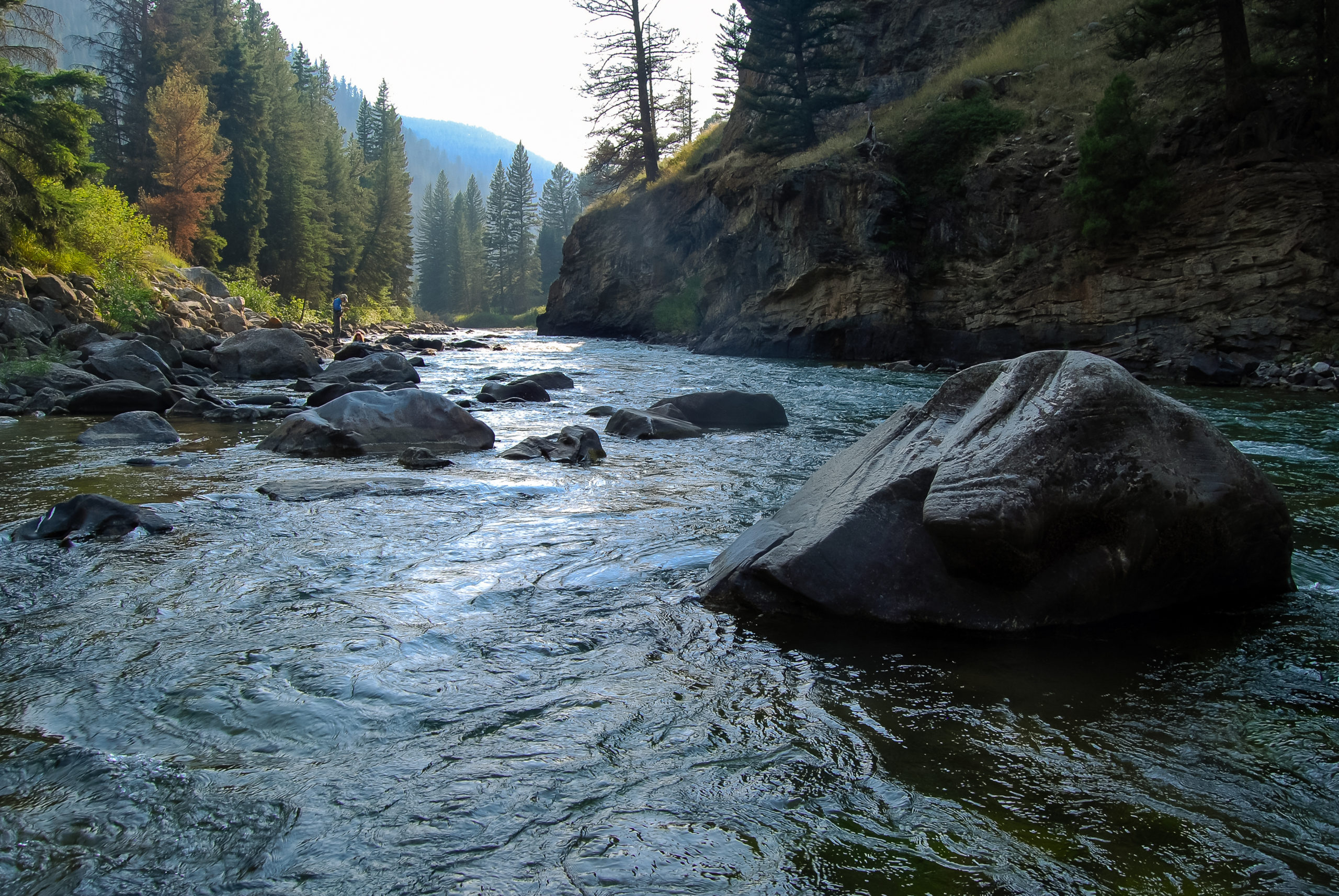 Gallatin River, Montana - Montana Environmental Information Center - MEIC