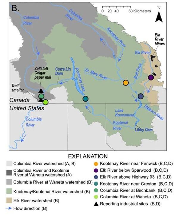 Canadian Selenium: Glencore Buys Teck, the IJC Starts Up, and Pollution ...