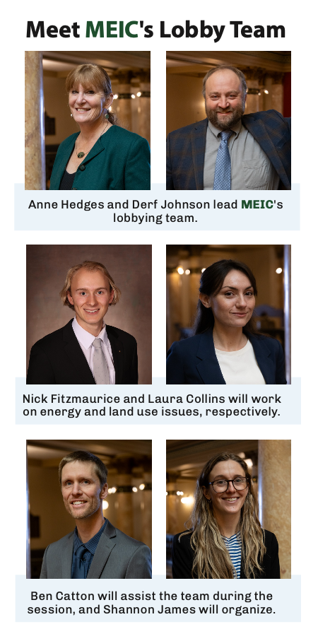 MEIC’s Lobbying Team: Anne Hedges and Derf Johnson lead MEIC's lobbying team. Nick Fitzmaurice and Laura Collins will work on energy and land use issues, respectively. Ben Catton will assist the team during the session, and Shannon James will organize.