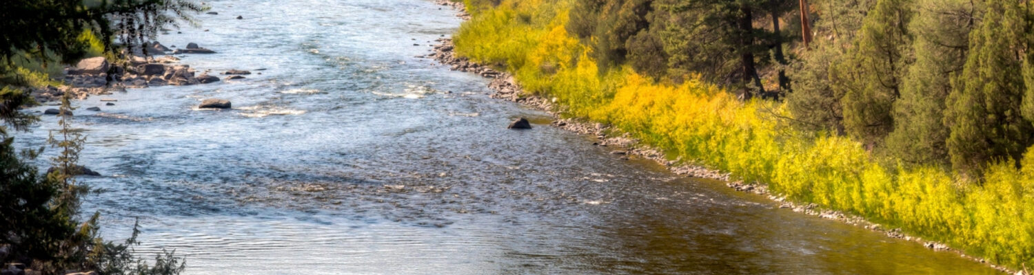 blackfoot river