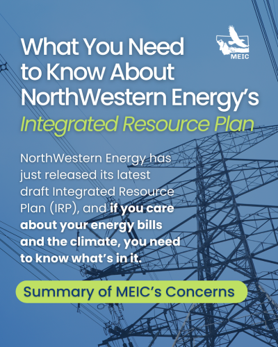 1-NWE IRP 2026 webpage